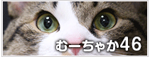 むーちゃか46日記